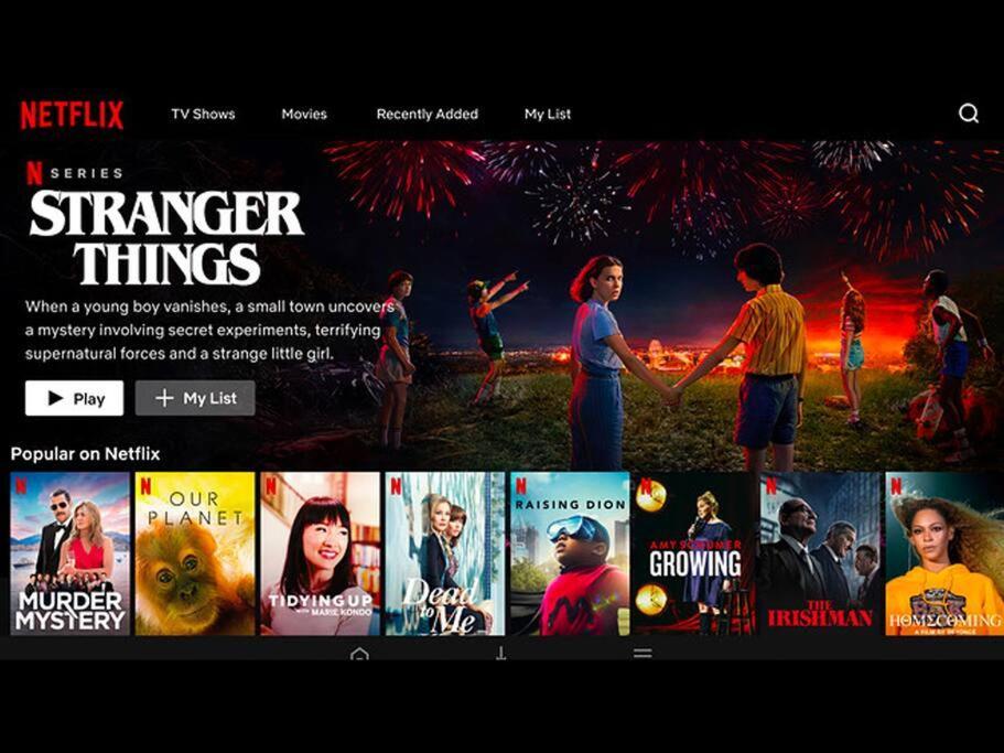 Netflix Theatre & Mountain View @ City Center Ipoh